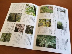 140507万葉の森冊子２
